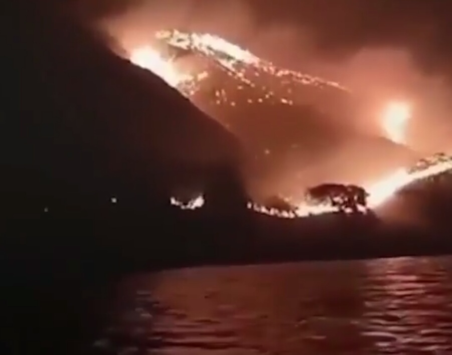 Berita NTT, Gililawa, Kebakaran Hutan,Media Lampung