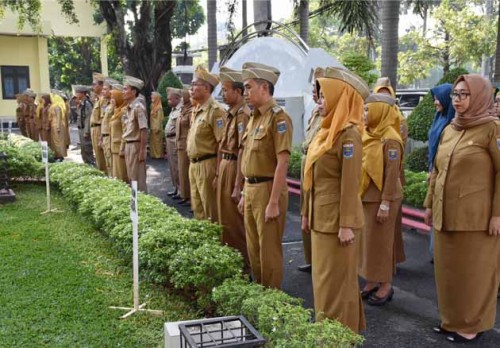 berita kota metro, Lampungnews,Berita Lampung,Pairin