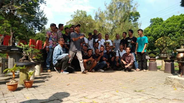 Hobi Bonsai Metro, Info Bonsai Metro, Berita Kota Metro, Tamam Kota Metro