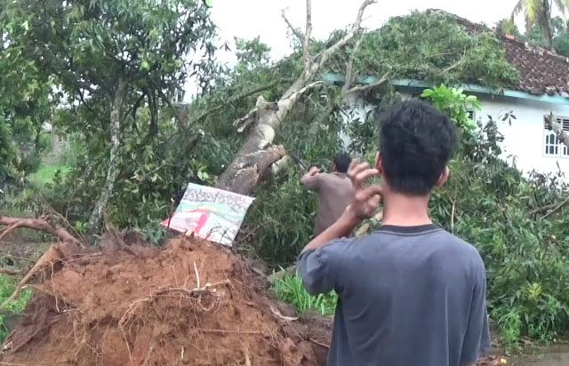 Online Metro, Kota Metro, Karang Rejo, Bencana Alam metro, Angib puting beliung