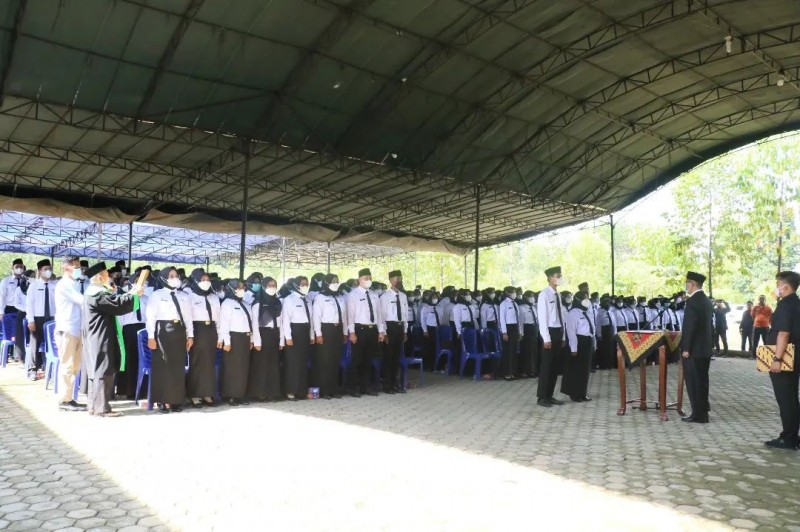 Kabar PALI, Selksei Pegawai PALI, Penerimaan Pegawai PALI, Pelantikan Pegawai PALI