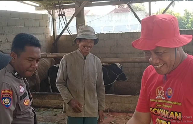 #Basuki PDI,#Pencegahan Penyakit Sapi Metro,Basuki Ke Kandang Sapi