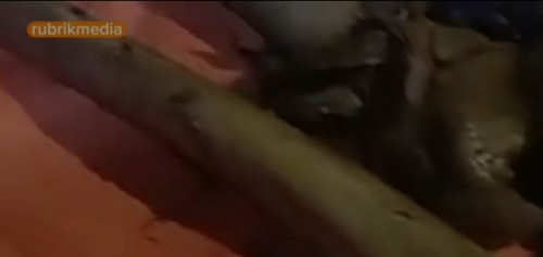 #geher penemuan tengkorak,#Labuhan ratu Lamtim,#Jasad ODGJ ,#Tengkorak di kebun,Kades Labuhan Ratu