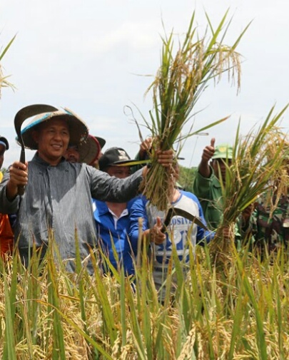 Lamteng, Berita Lampung