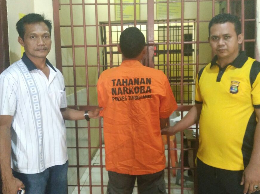 Pringsewu, polsek Fajarisuk