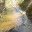 Lamtim kemarau, Petani Way Jepara , Portal Lampung