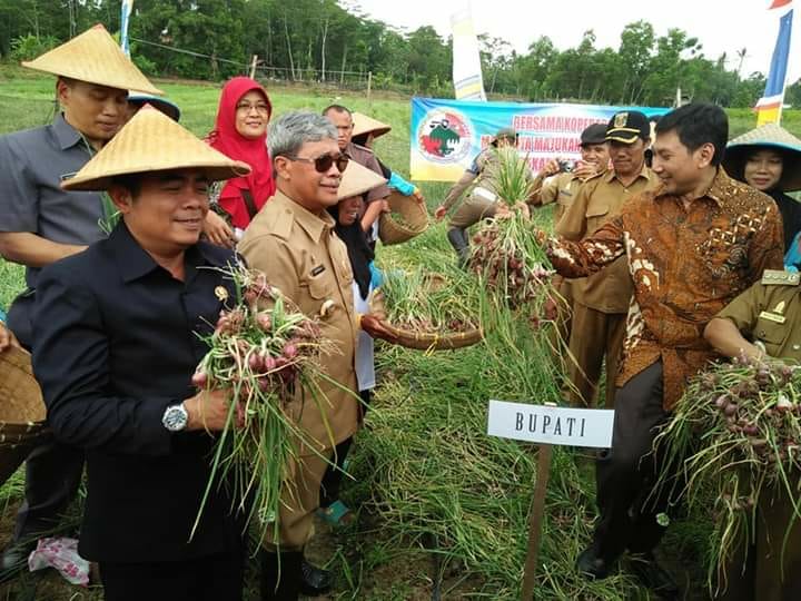 Berita Lampung Tengah, Portal Online Lampung, Media Lampung