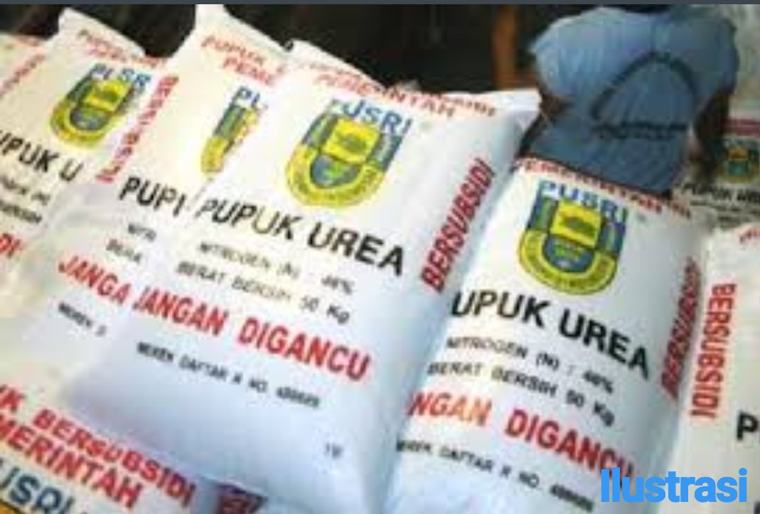 Caleg Pupuk, Pengecer Pupuk jadi Caleg,