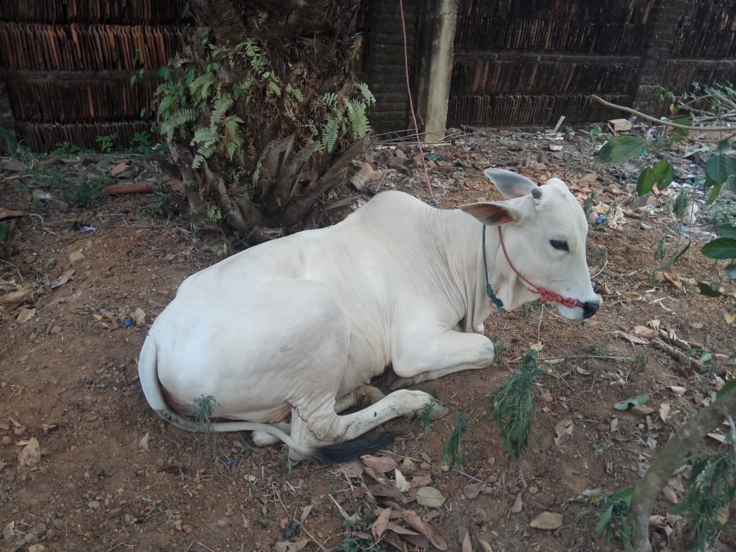 Portal Berita Lampung,nedia Lampung