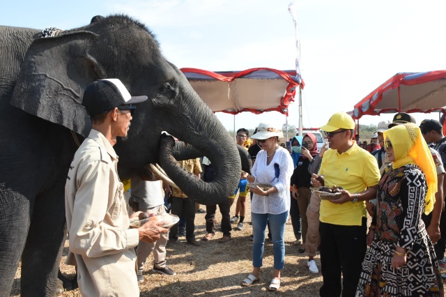 Festival Way Kambas ke-19, Online Lamtim, Labuhanratu Lamtim, Sekolah Gajah, Media Lampung,
