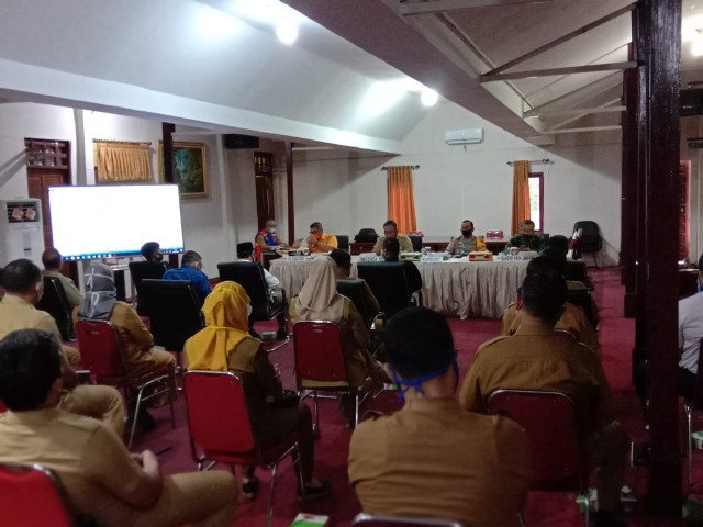 Covid-19 Pali, Info Pali, Info covid19 Pali,