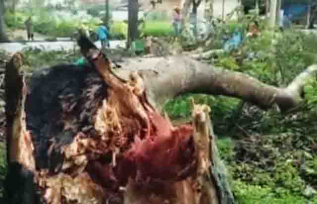 info MEtro, Angin puting Beliung, Lapk Degan Metro,