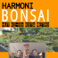 #Bonsai Kota Metro, #Kontes Bonsai